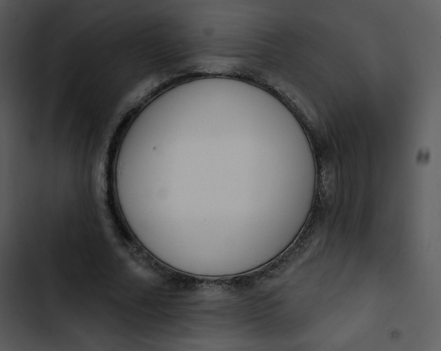 X0000102810682200809081109