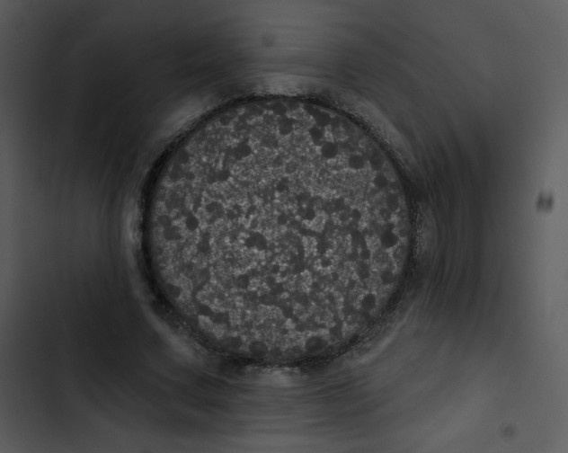 X0000102810683200809081109