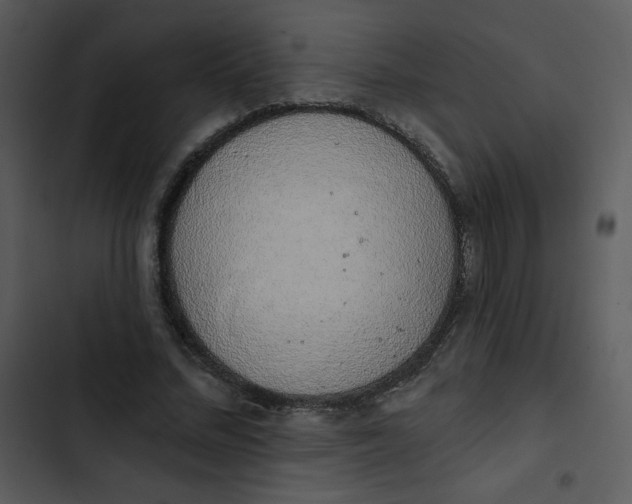 X0000102810684200809081109