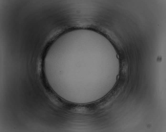 X0000102810685200809081109