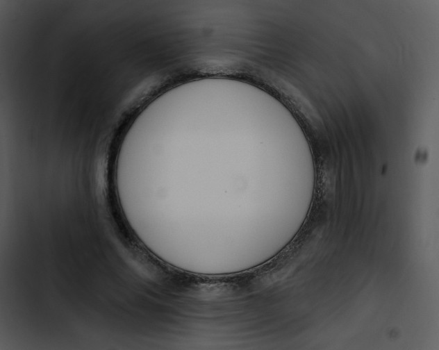 X0000102810686200809081109