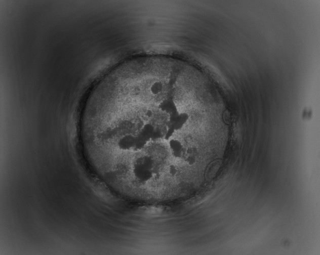 X0000102810687200809081109