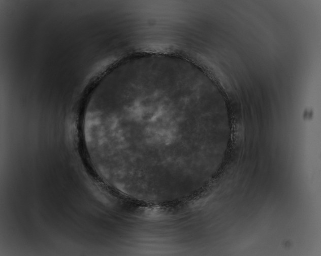 X0000102810688200809081109