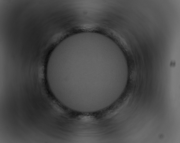 X0000102810689200809081109