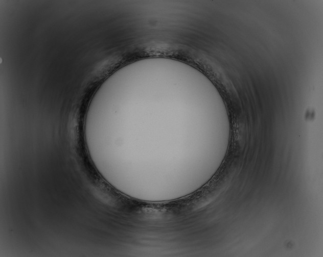 X0000102810690200809081109