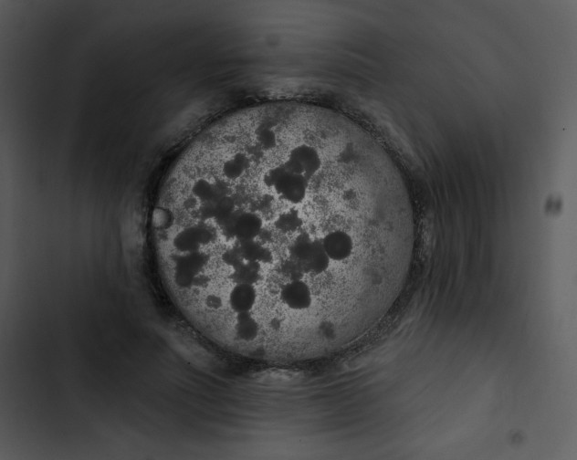 X0000102810691200809081109