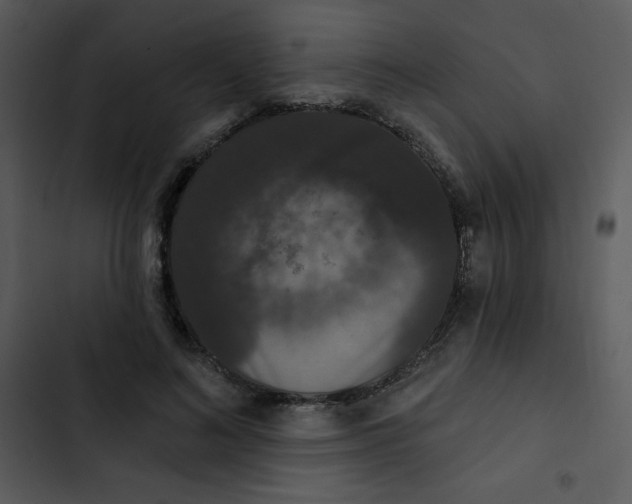 X0000102810692200809081109