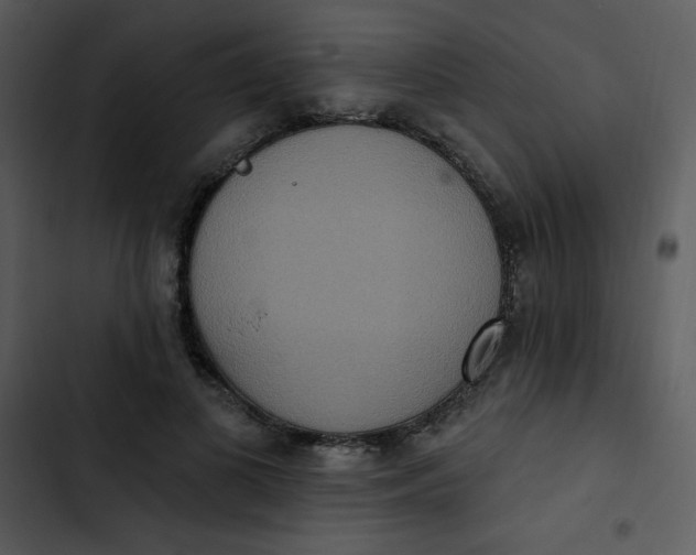 X0000102810693200809081109