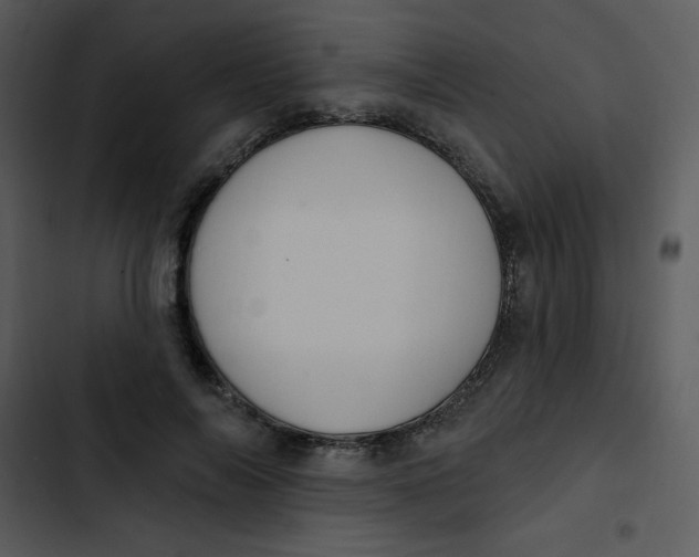 X0000102810694200809081109