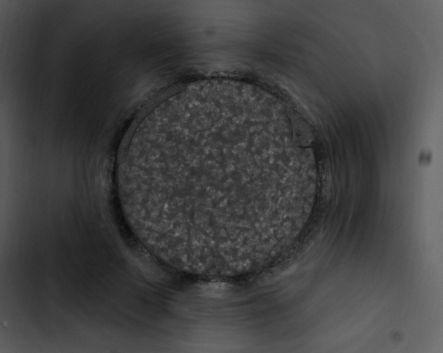 X0000102810695200809081109