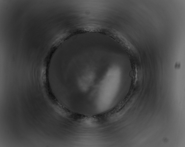 X0000102810696200809081109