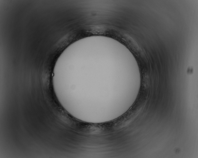 X0000102810697200809081109