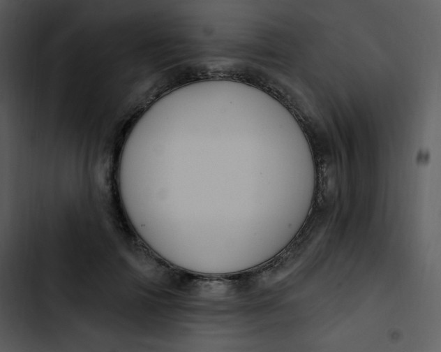 X0000102810698200809081109