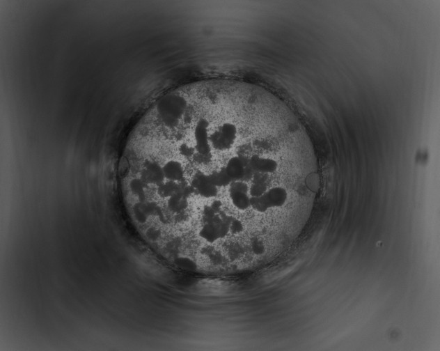 X0000102810699200809081109