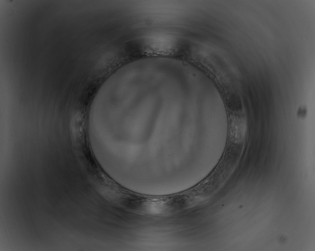 X0000102810701200809081109