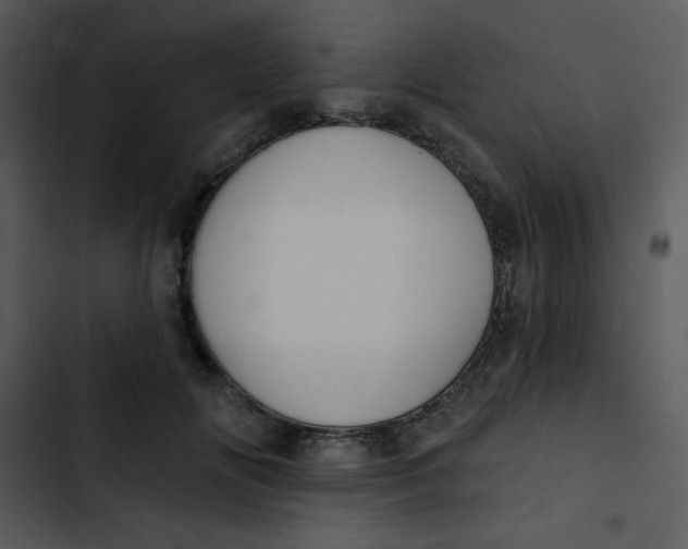 X0000102810702200809081109