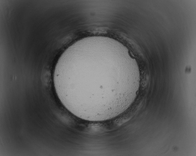 X0000102810704200809081109