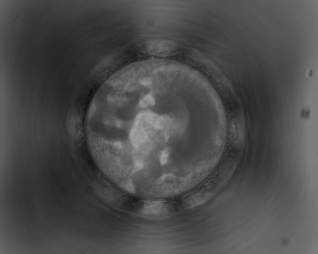 X0000102810705200809081109