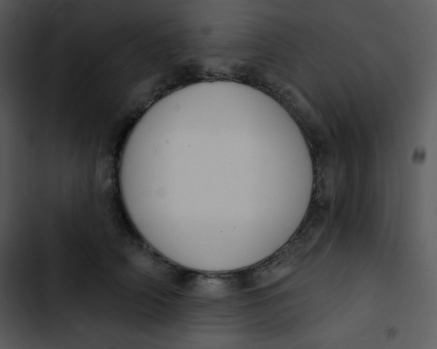 X0000102810706200809081109