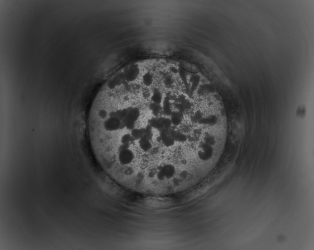 X0000102810707200809081109