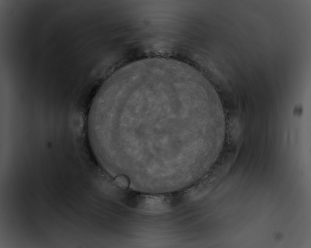 X0000102810709200809081108