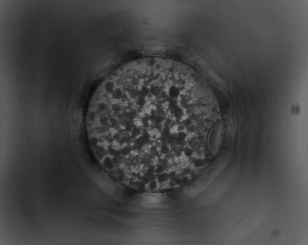 X0000102810711200809081108