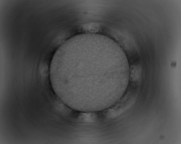 X0000102810713200809081108