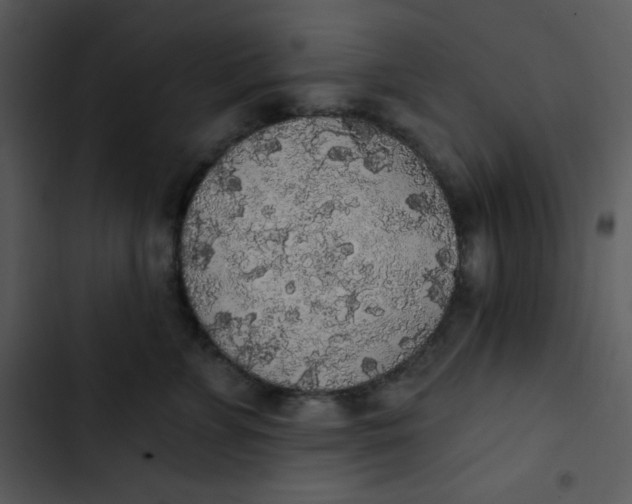 X0000102810715200809081108