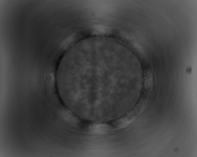 X0000102810716200809081108