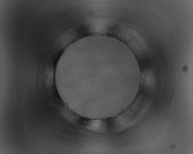 X0000102810717200809081108