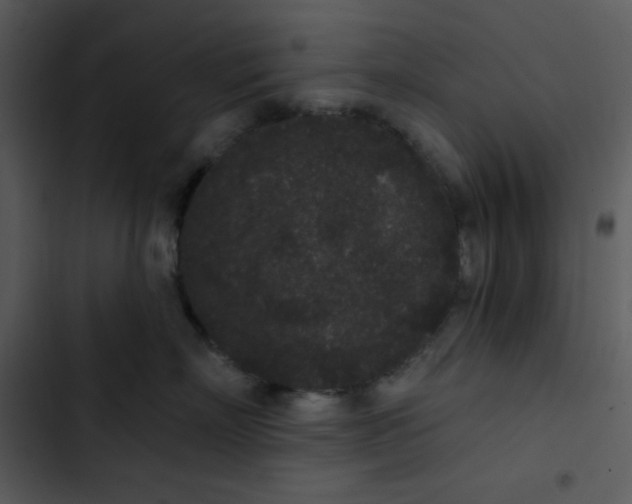 X0000102810718200809081108