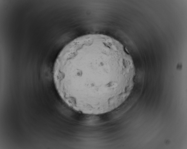 X0000102810719200809081108