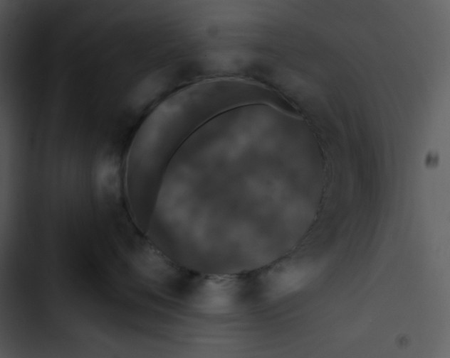 X0000102810720200809081108