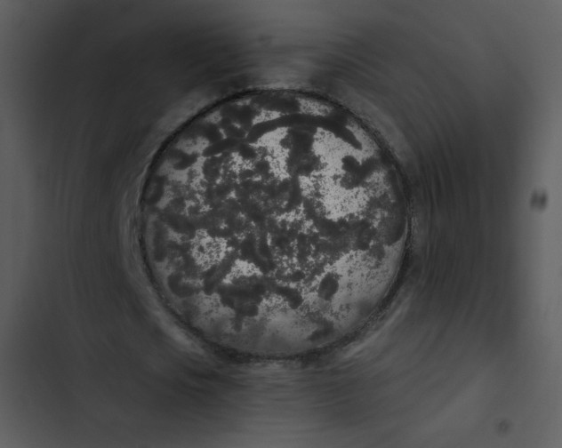 X0000102810721200809081108