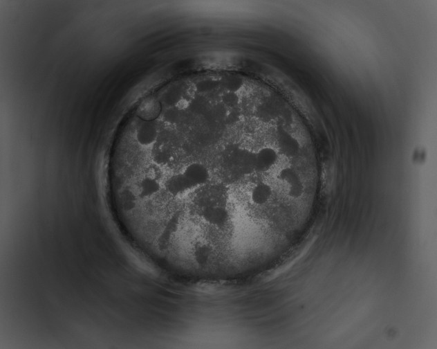 X0000102810725200809081108