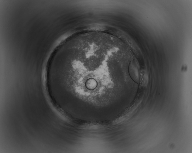 X0000102810726200809081108