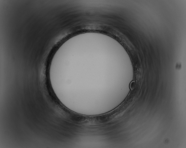 X0000102810727200809081108