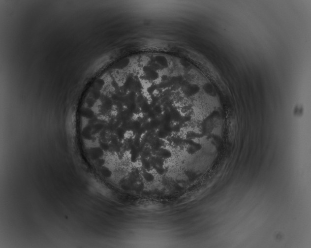 X0000102810729200809081108