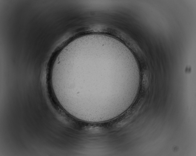 X0000102810730200809081108