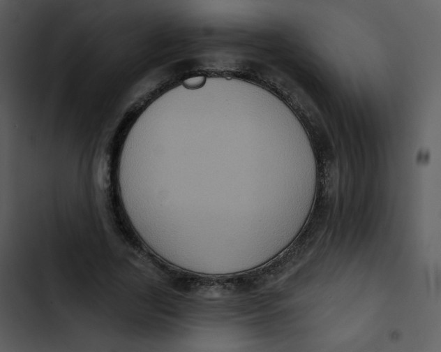 X0000102810731200809081108