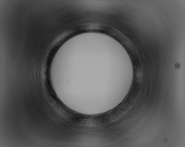 X0000102810732200809081108