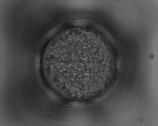 X0000102810733200809081108