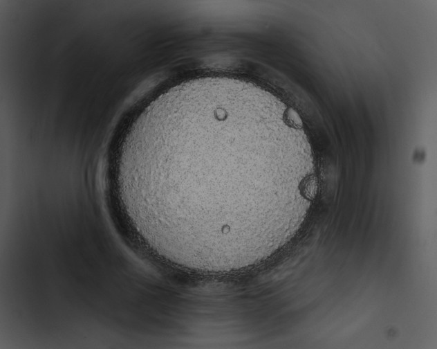 X0000102810734200809081108