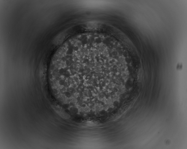 X0000102810737200809081108