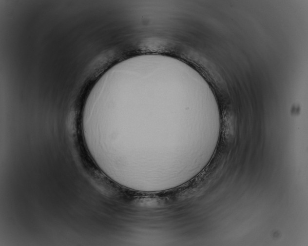 X0000102810738200809081108