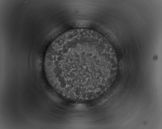 X0000102810741200809081108