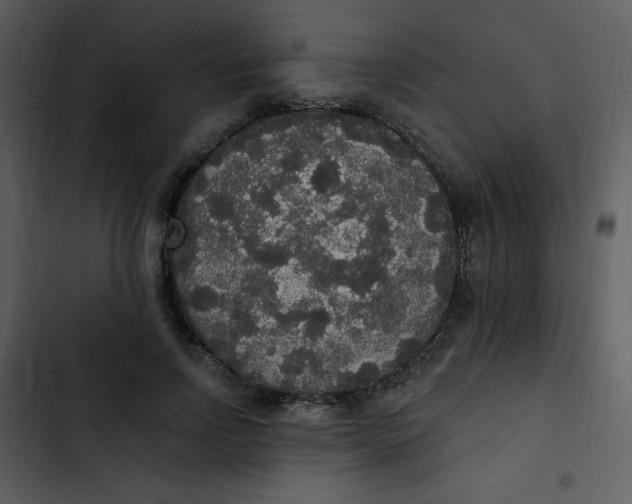 X0000102810742200809081108