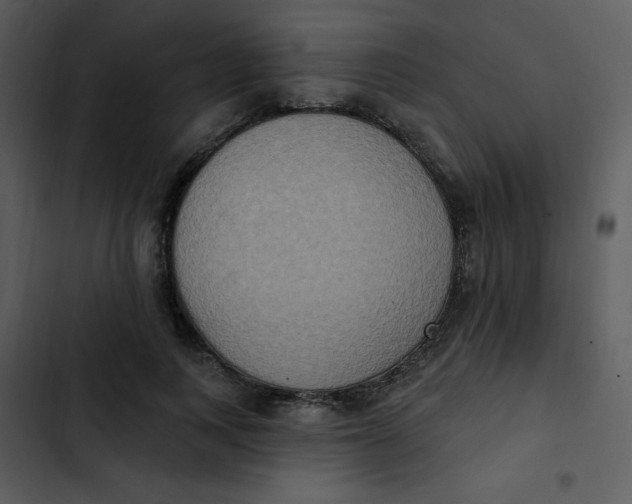 X0000102810743200809081108