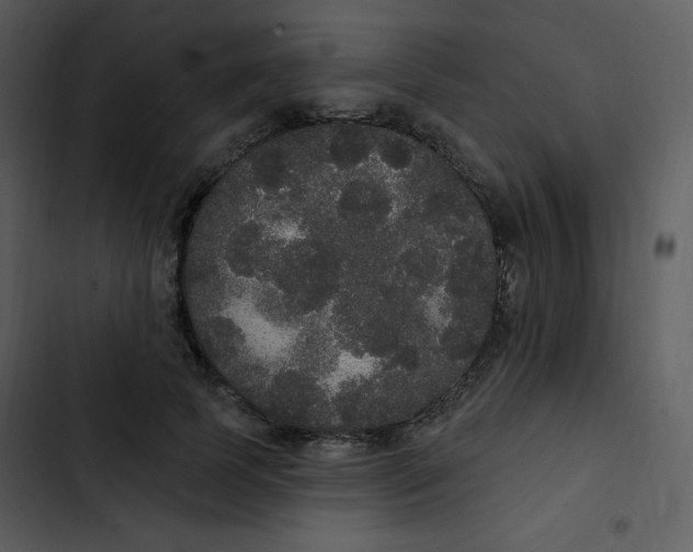 X0000102810745200809081108