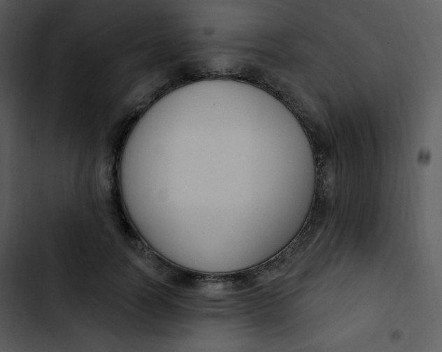 X0000102810746200809081108